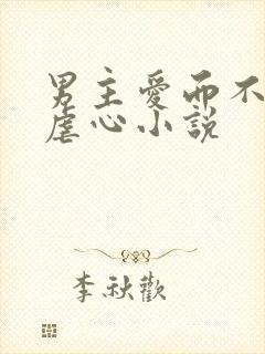 男主爱而不得的虐心小说