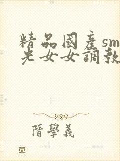 精品国产sm耳光女女调教