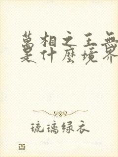 万相之王无双侯是什么境界