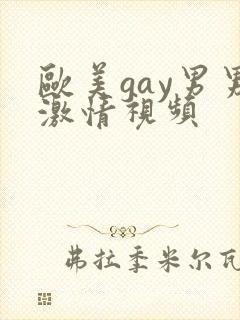 欧美gay男男激情视频