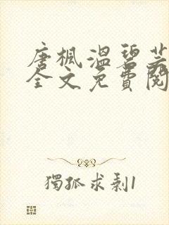 唐枫温碧芸小说全文免费阅读