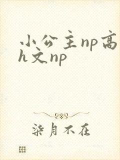 小公主np高辣h文np