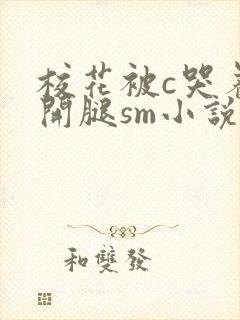 校花被c哭着扒开腿sm小说