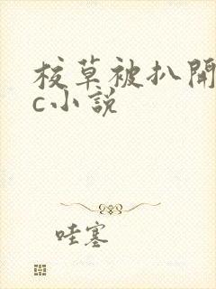 校草被扒开腿狂c小说