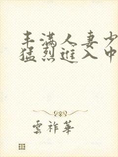 丰满人妻少妇被猛烈进入中文字幕