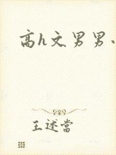 高h文男男小说封面