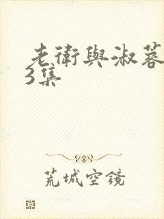 老卫与淑蓉第13集封面