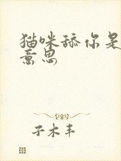 猫咪舔你是什么意思