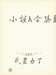 小说h合集乱