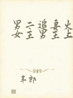 男二追妻火葬场女主男主上位现言