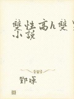 双性高h双男主小说封面