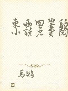 东西回响的原著小说免费阅读