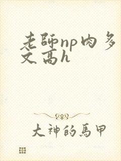 老师np肉多荤文高h