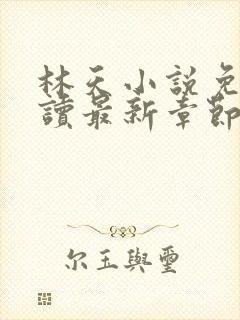 林天小说免费阅读最新章节