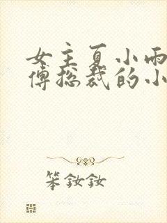 女主夏小雨男主傅总裁的小说