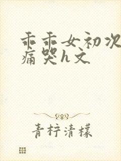 乖乖女初次破苞痛哭h文