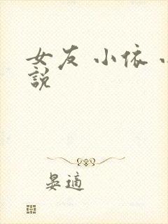女友 小依 小说