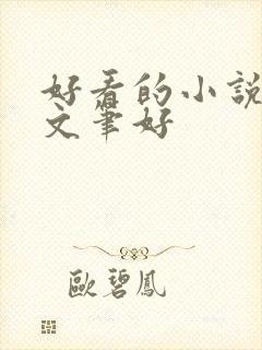 好看的小说言情文笔好