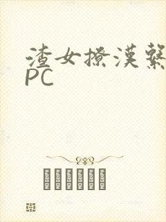 渣女撩汉系统NPC