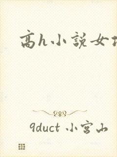 高h小说女攻封面