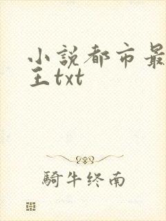 小说都市最强兵王txt封面