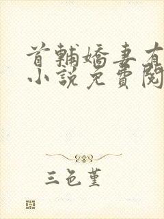 首辅娇妻有空间小说免费阅读全文在线封面