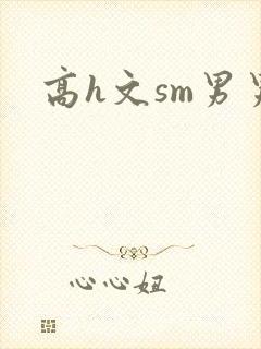 高h文sm男男