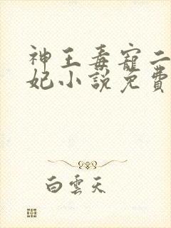 神王毒宠二嫁王妃小说免费阅读封面