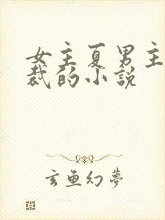 女主夏男主傅总裁的小说