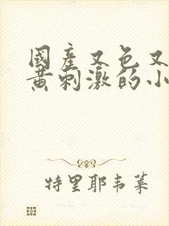 国产又色又爽又黄刺激的小说