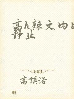 高h辣文肉时间静止