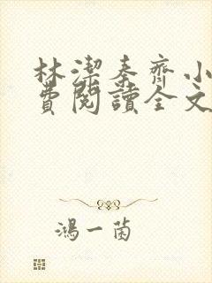 林洁秦齐小说免费阅读全文最新章节封面