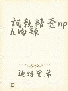 调教精壶np高h肉辣