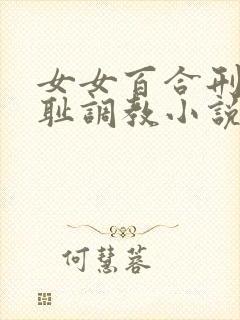 女女百合刑具羞耻调教小说封面