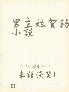 男主姓贺的现代小说