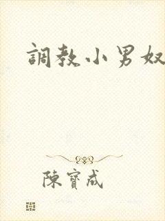 调教小男奴小说