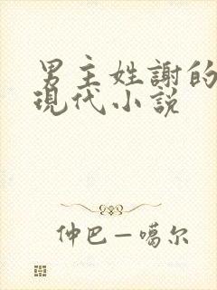 男主姓谢的总裁现代小说