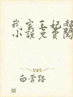 我家王妃超凶的小说免费阅读封面