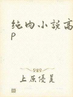 纯肉小说高hnp