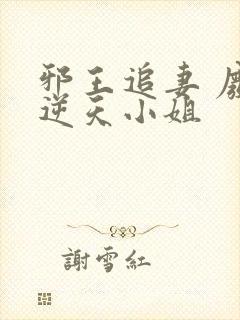 邪王追妻 废材逆天小姐