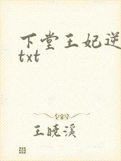 下堂王妃逆袭记txt