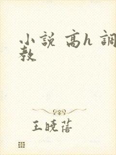 小说 高h 调教