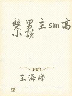 双男主sm高h小说