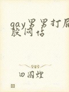 gay男男打屁股网站封面