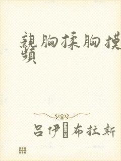 亲胸揉胸摸下视频封面