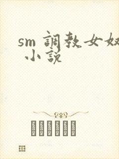 sm 调教女奴 小说