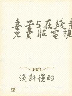 妻子5在线观看免费版电视剧韩剧封面