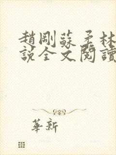 赵刚苏柔林风小说全文阅读