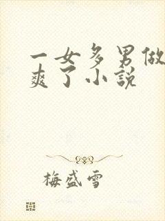 一女多男做爰太爽了小说