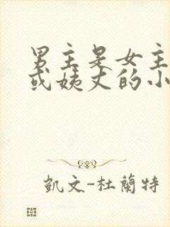 男主是女主姑父或姨丈的小说